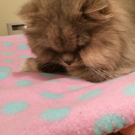 ムズムズ？の画像