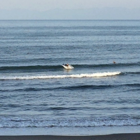 今朝のスネ波 その2の画像