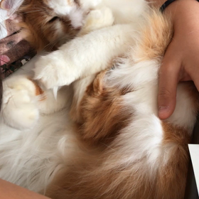 朝からチュパチュパの画像