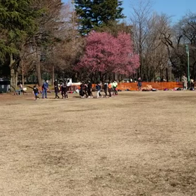 特別練習 B 学年別インターバル⑫の画像