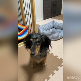 アール君，帰宅♪の画像