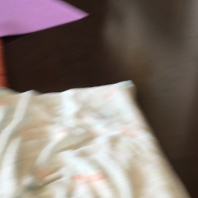 ボールを追う犬。の画像