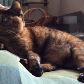 木曜日なのね。てん＆リク動画の画像