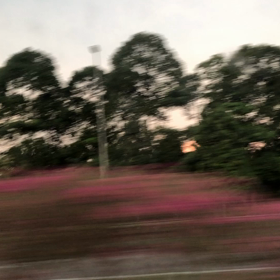 大忙しの画像