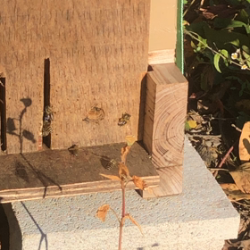 2022.11月8日の画像