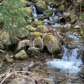 釣りにいけれてないですね❗️の画像