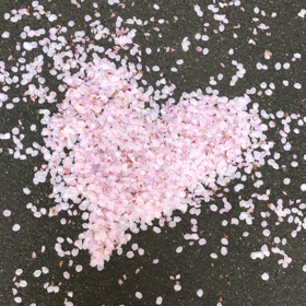 吹き溜まりの画像