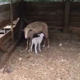 世の中は止まらないの画像