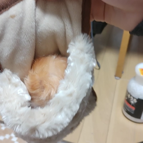 A Happy NEW Yearの画像