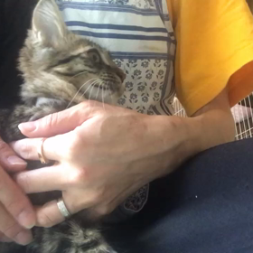 ミクちゃん甘え上手の画像