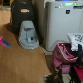 トンボおもちゃの画像