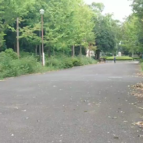 クラブ交流 男子リレー選考会⑥の画像