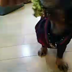 レタス(  ＾∀＾)の画像