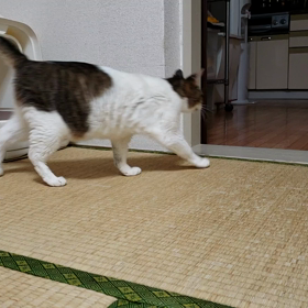 すれ違うの画像