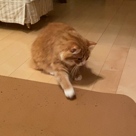 曇ってきたねの画像