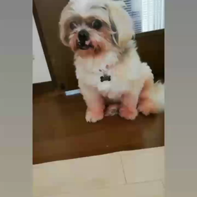 今日も暑いね〜☀️の画像