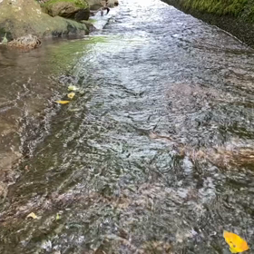 “自然と音遊び” プロジェクト vol.078！の画像