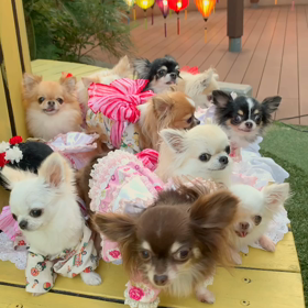 ★横浜ベイクォーター★の画像