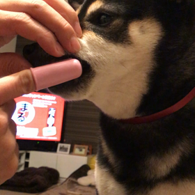 ハミガキ大切の画像