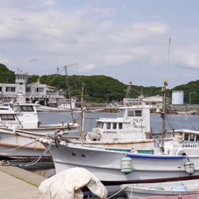 柔らかいものの土台はの画像