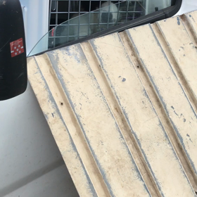 北海道に行く子犬の画像