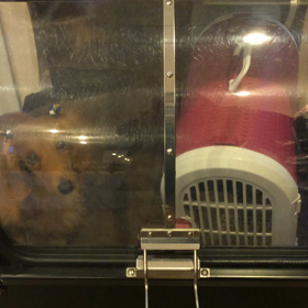 ⬛️1/18〜1/24＊酸素カプセルご利用のお友達⬛️の画像