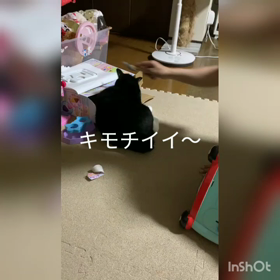 やり過ぎ〜かなの画像