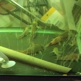 徐々に回復の画像