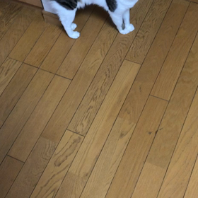 6月からのジムはどうなる？娘から来て〜泣いている娘！の画像