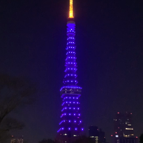 TOKYO TOWER（東京タワー） / mystical blue light | Beautiful