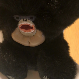 ⚠️注意⚠️声デカイです‼️の画像