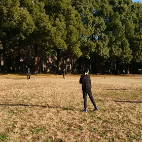 ジャベリック③の画像