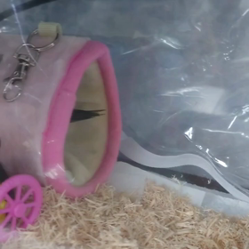 健康診断してきたの画像