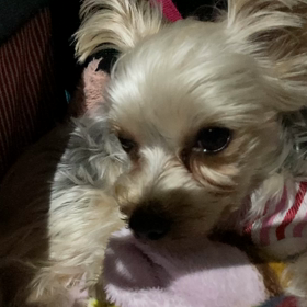 疲労困憊の画像