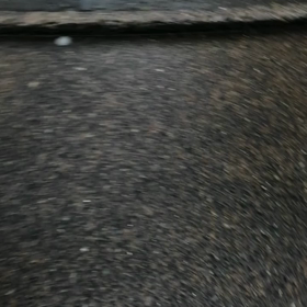 あらら❗☔誰が決めたか？☔の日は未来丸自由散歩？匂いかぎ全開❗しょうがないか⁉️の画像