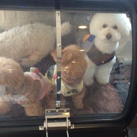 ⬛️5/10〜5/16＊酸素カプセルご利用のお友達⬛️の画像