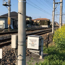 □お散歩日記の画像