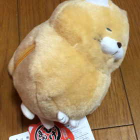 ひげまんじゅうと市倉さんの画像