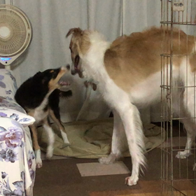 睡眠不足の画像