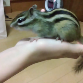 月曜は編み物の日の画像