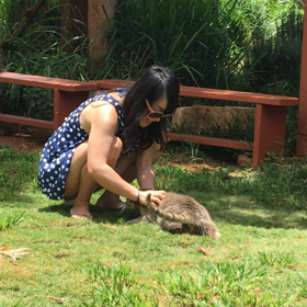 ◆キャットサンクチュアリ 動画の画像