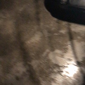 今回は、前々回お聞かせできなかったマフラー音の画像