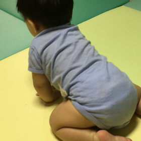 ハイハイの画像