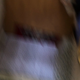 保護犬スリーシスターズの画像