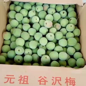 健ちゃんの梅干し2021　その③の画像