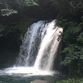 夏の涼画♪の画像