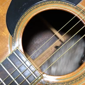 エライコッチャの画像