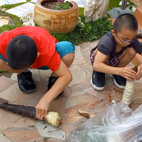 ツツジが満開＼(◎o◎)／！の画像