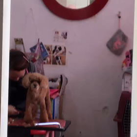 ハナちゃんの画像