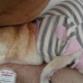 2021/04/10 日和 月誕生日の画像